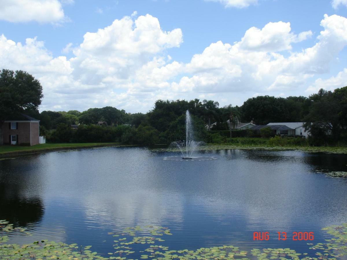Beautiful Condo Close To Busch Gardens 탬파 외부 사진
